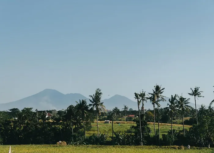 Villa 600m - Designer - Perenenean - Private Pool Canggu